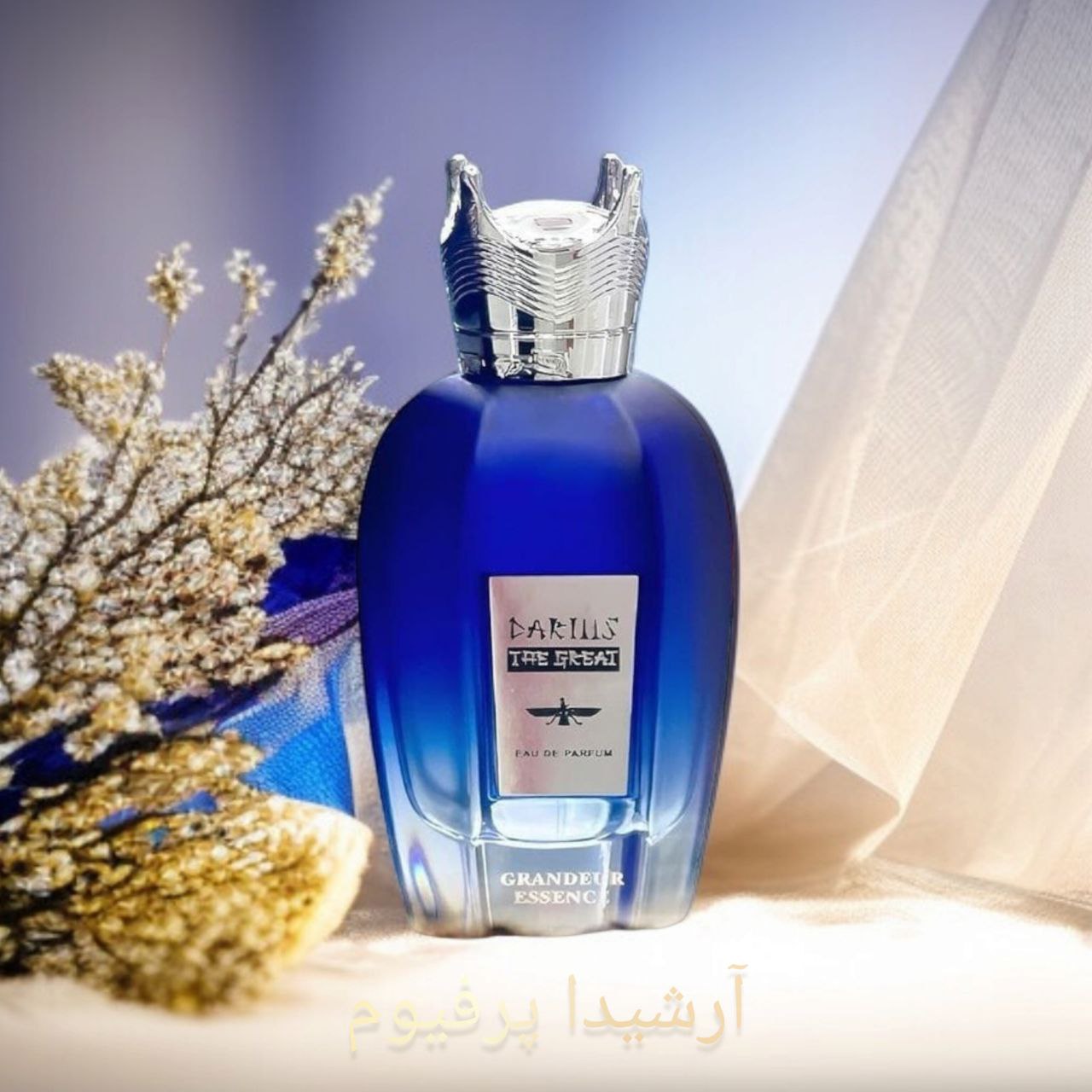 DARIUS مشابه MEGA MARE