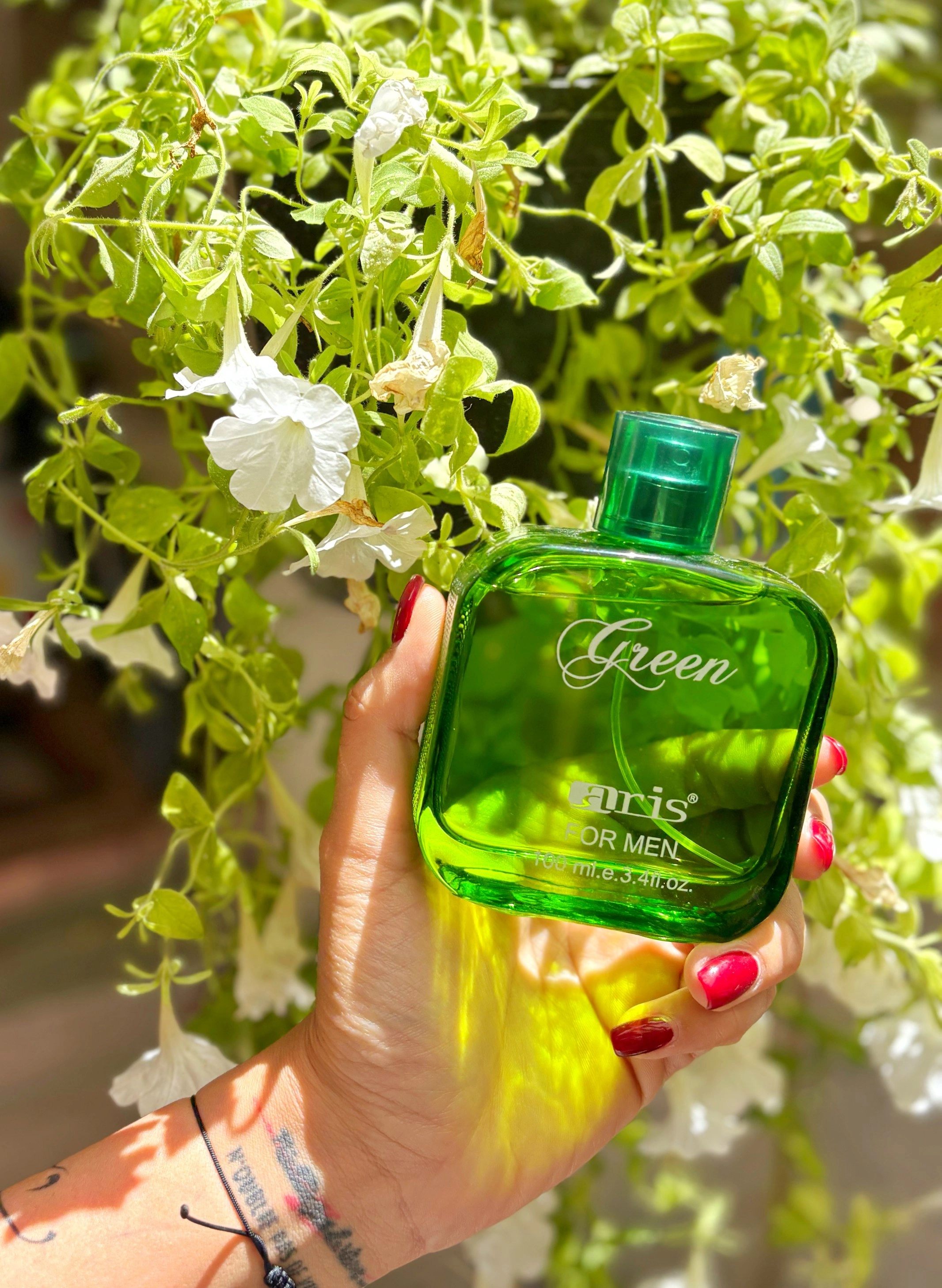 Green aris ، آریس سبز